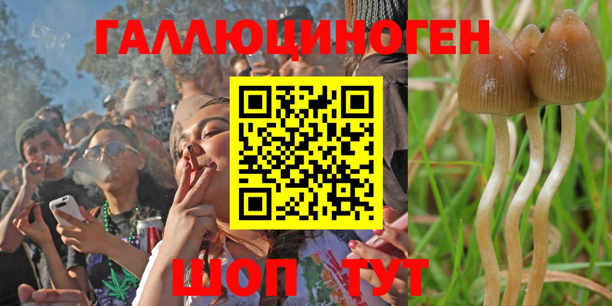 Псилоцибиновые грибы GOLDEN TEACHER  Вход с VPN  Алатырь 
