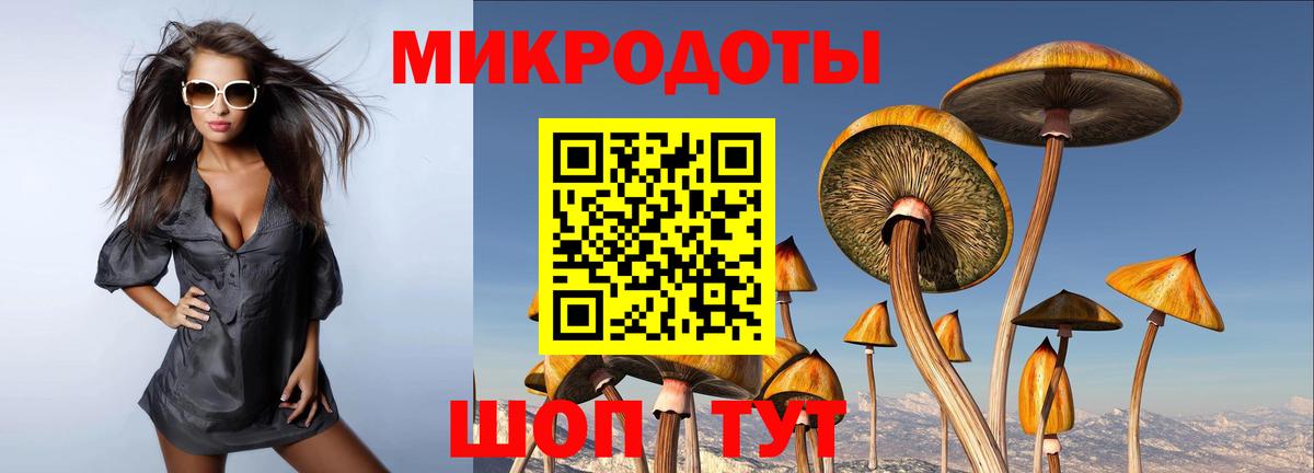 Псилоцибиновые грибы прущие грибы Алатырь